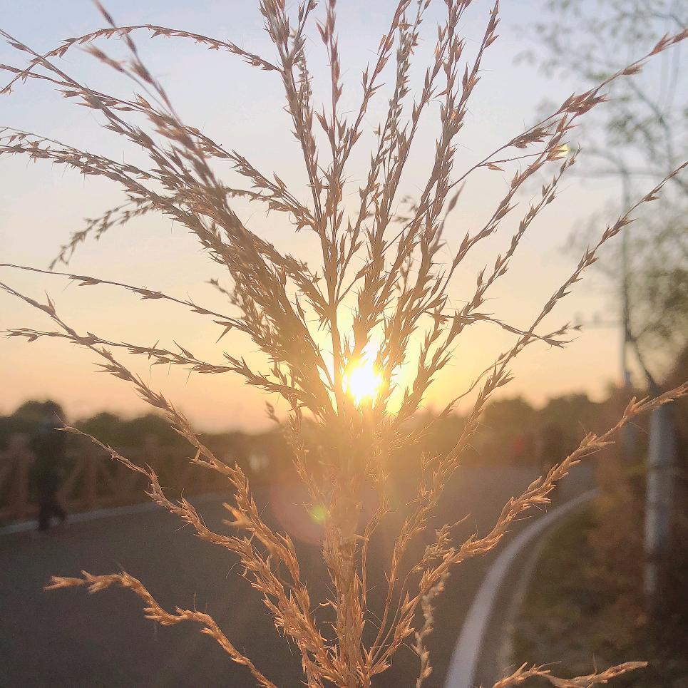 玥麻麻❤️❤️❤️❤️