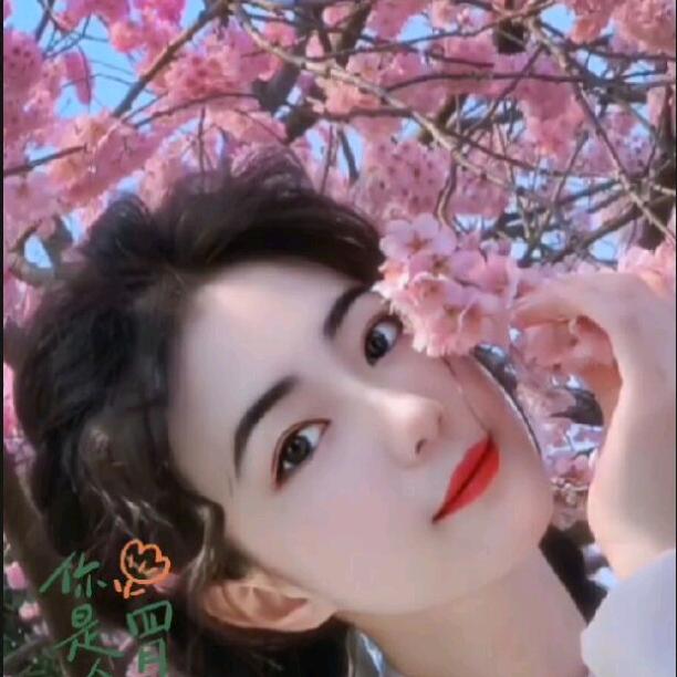 ☘️莹儿☘️