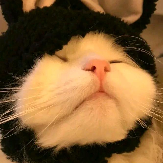 味素