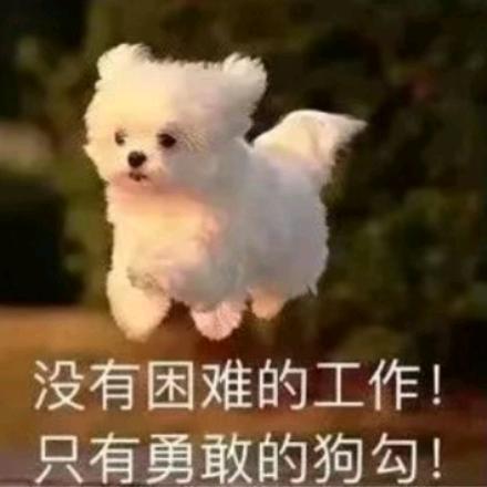 乐迪