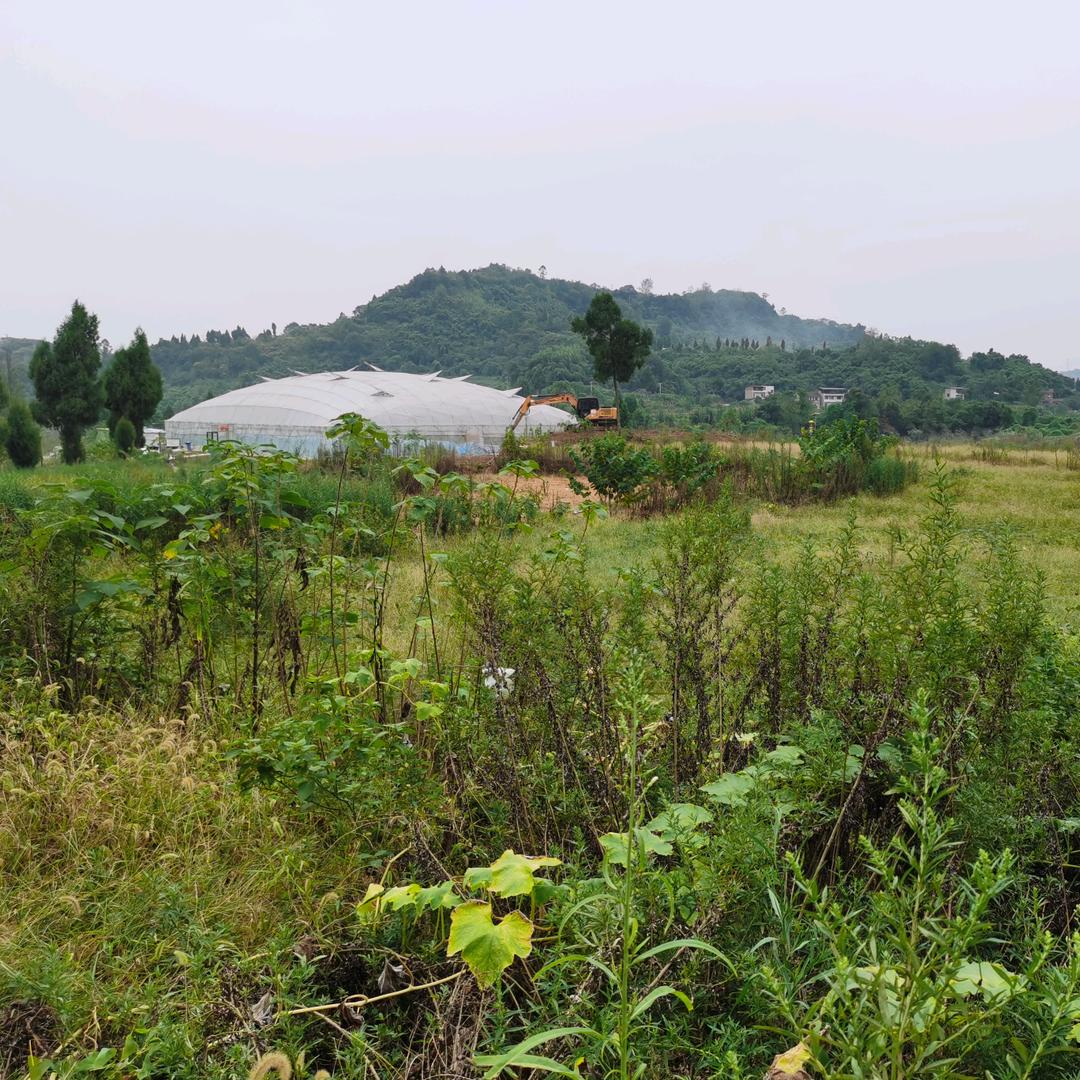 雾水山耕