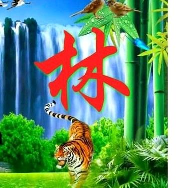 星胜实业，水泥制品预制厂，林少敬