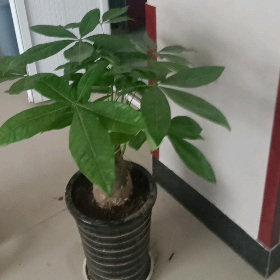 缘来如止