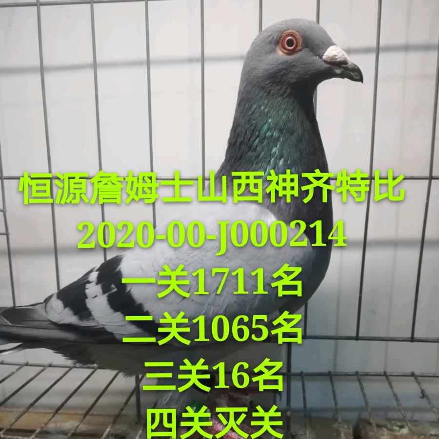 建磊宠物天落中转站