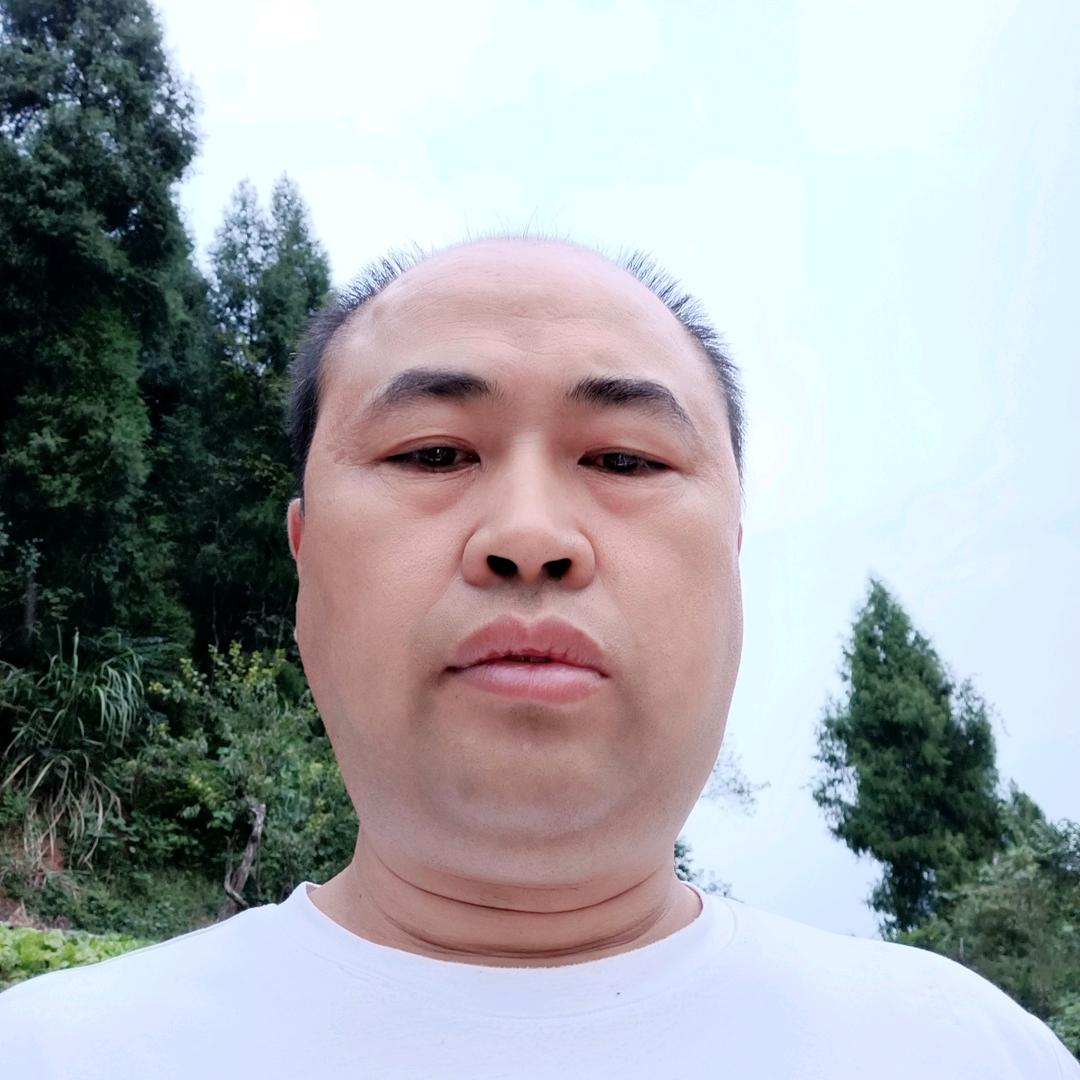 锦上添花