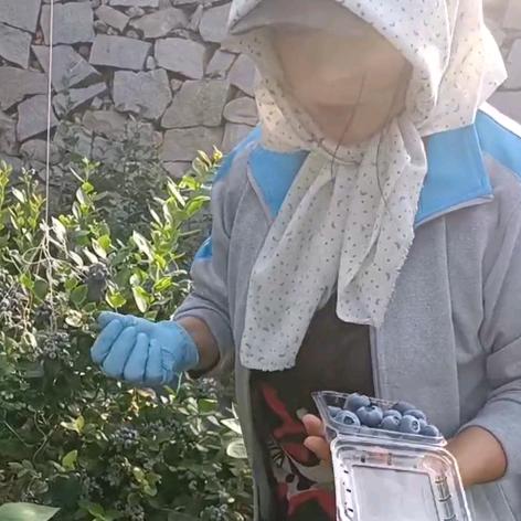 普兰店区锦轩佳品电子商务工作室