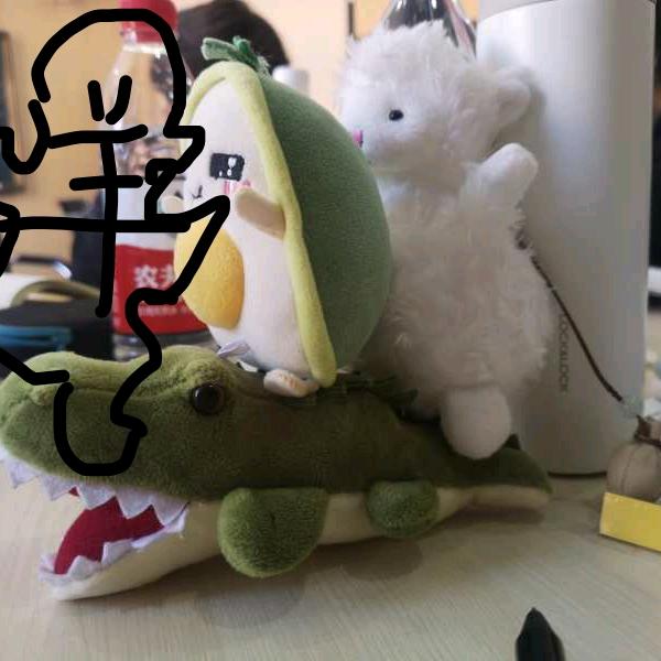 🌈北北碚