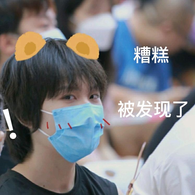 给小羽买多肉葡萄