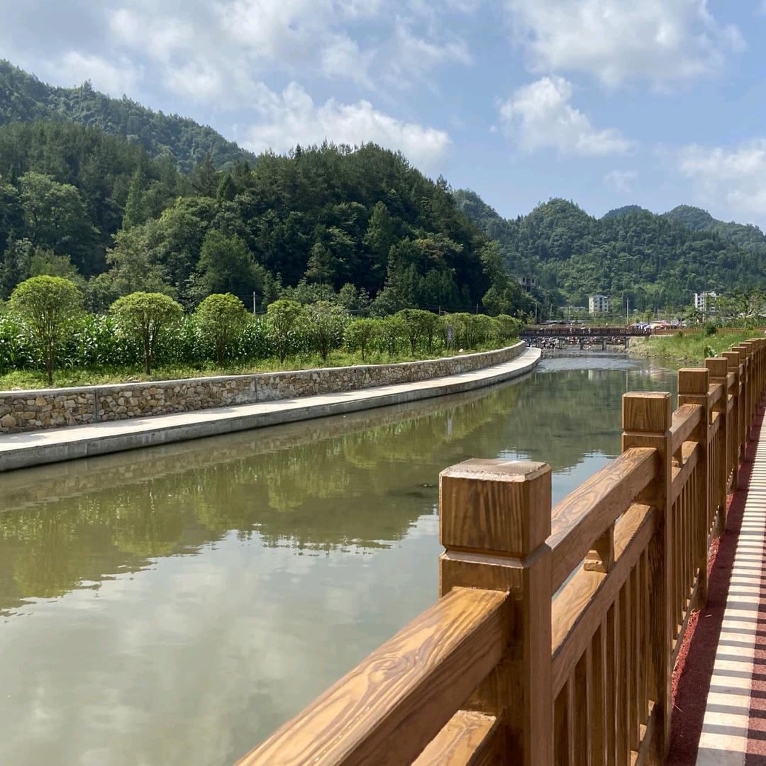 伍一奶奶