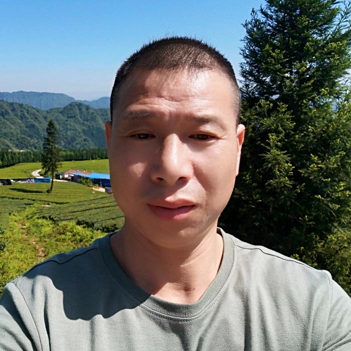 华通茶业