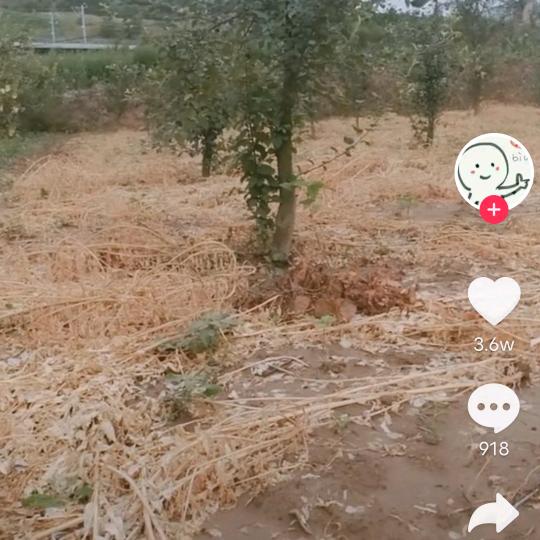 一生爱你