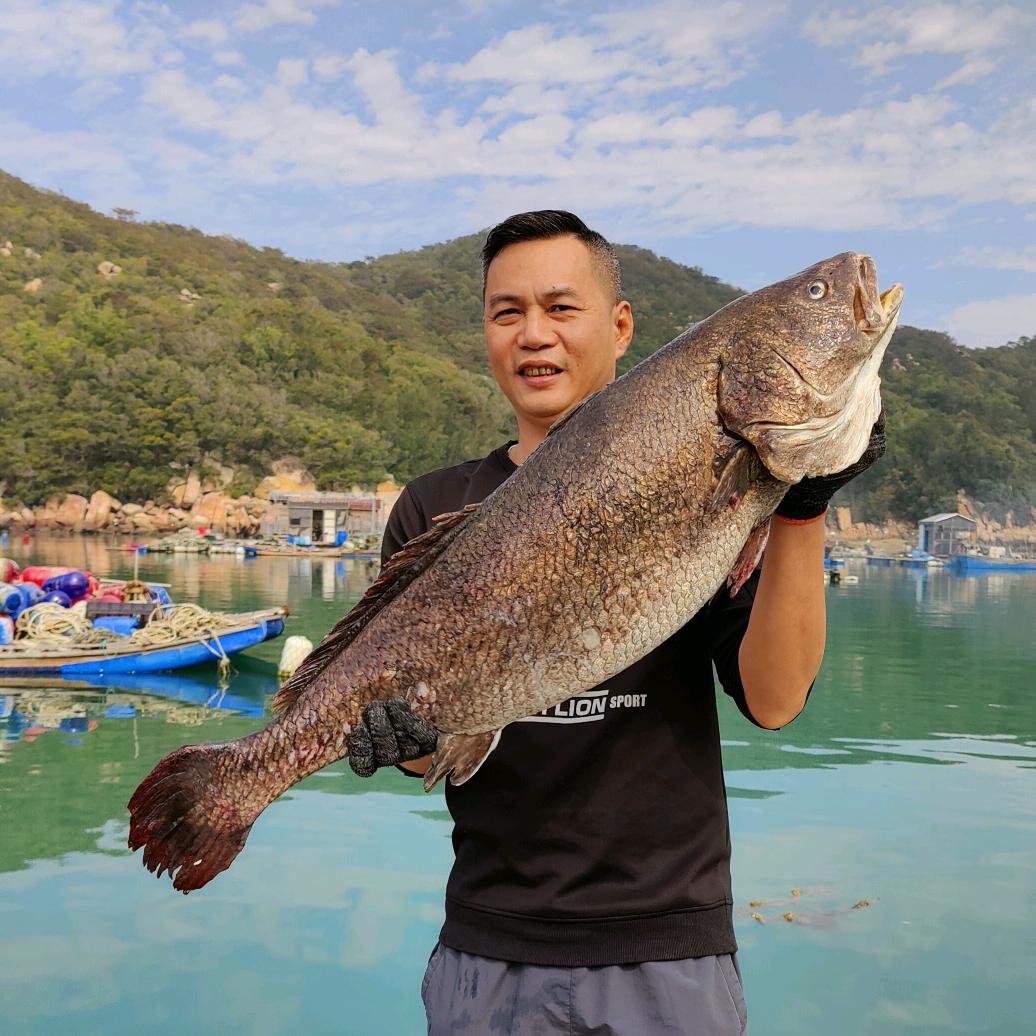 辉哥海味