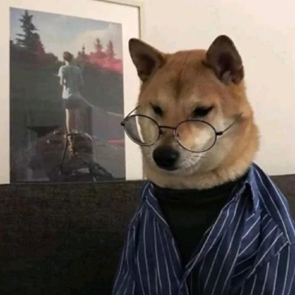 一只哲学犬