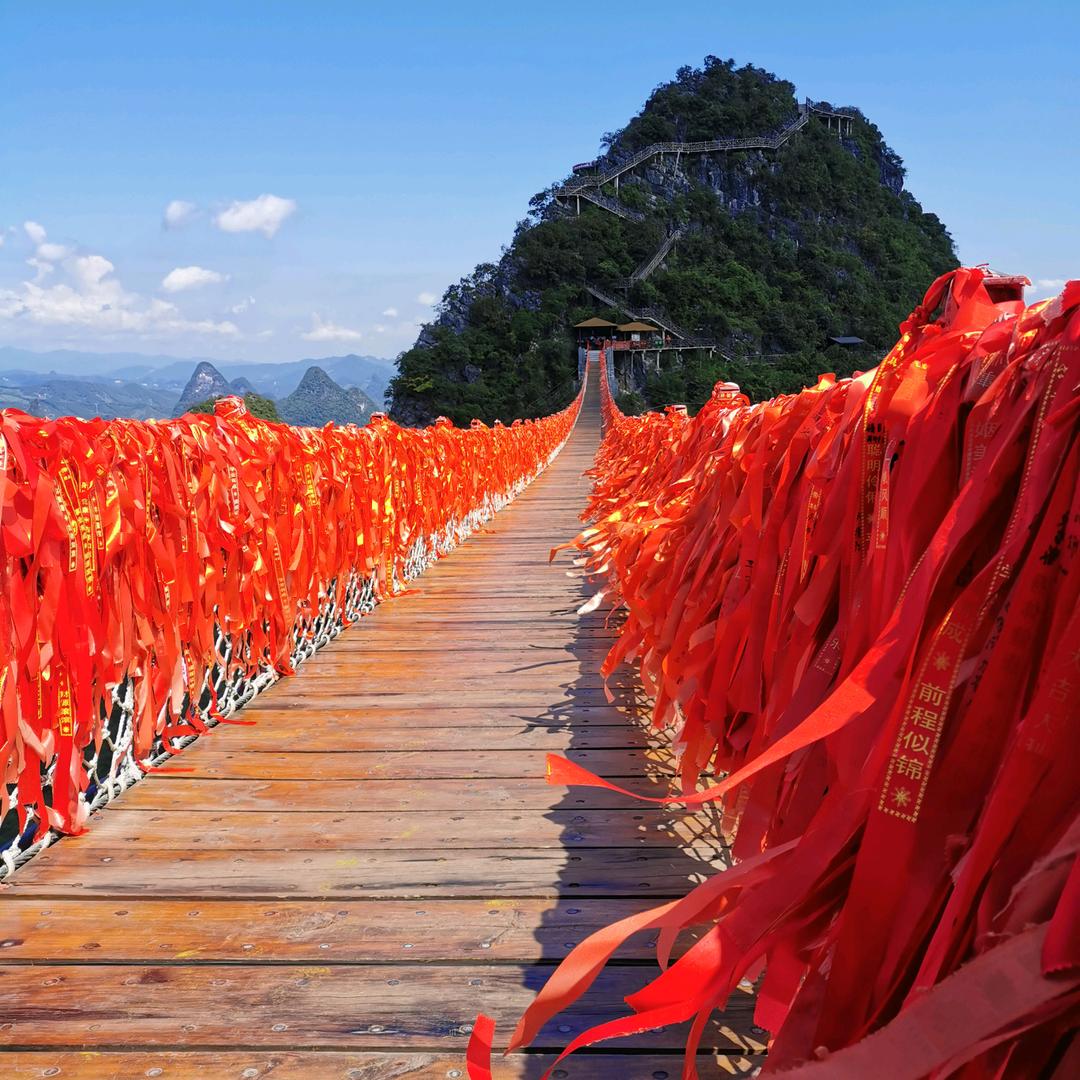 少ぉ的执著。        🕷