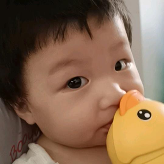 小老鼠杨宝