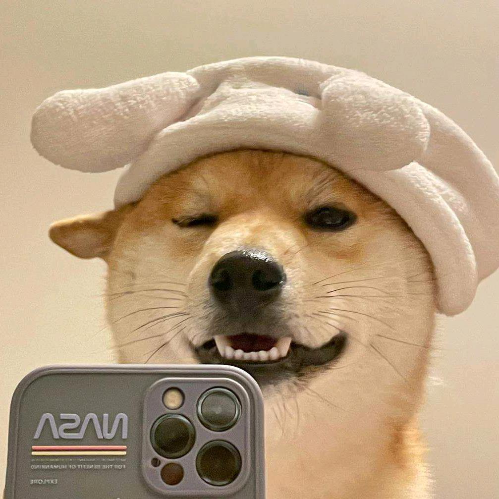 郑多多ღ