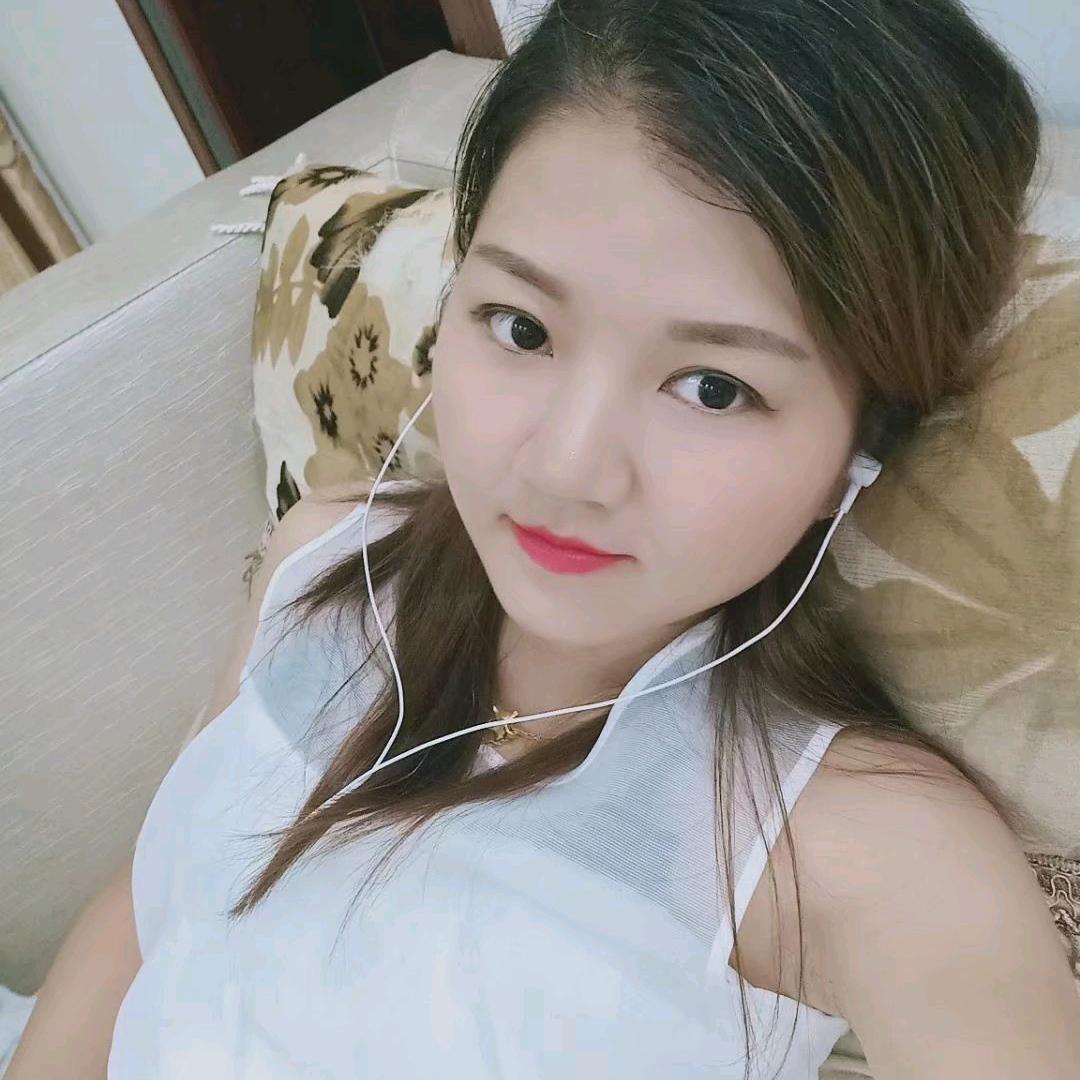 小夜猫