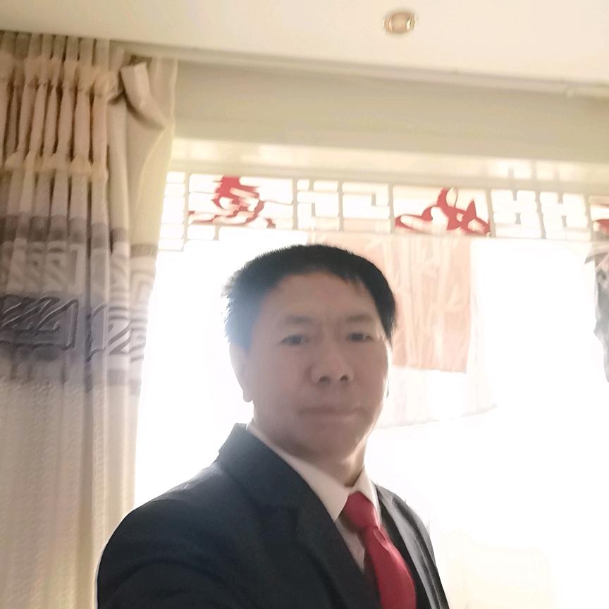 一片绿荫