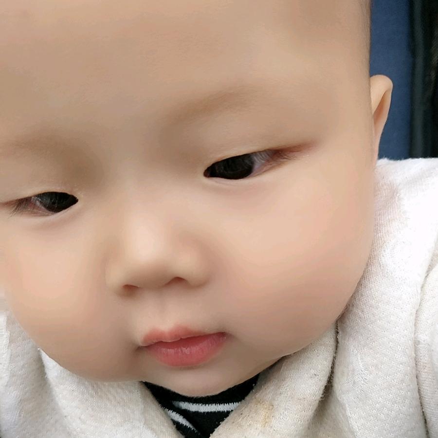 🐉℘࿐听风ℋღ᭄