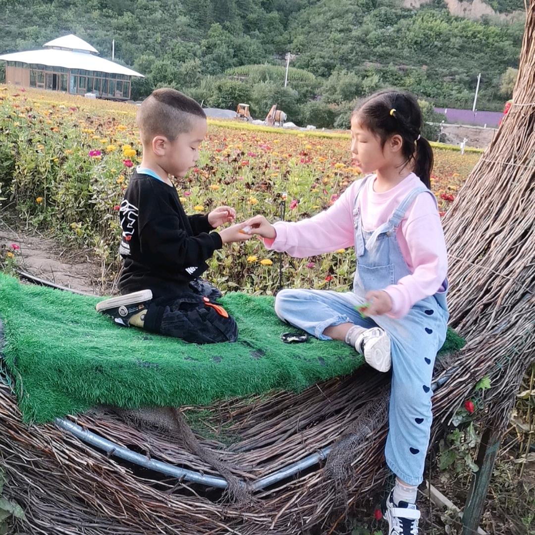 泡泡