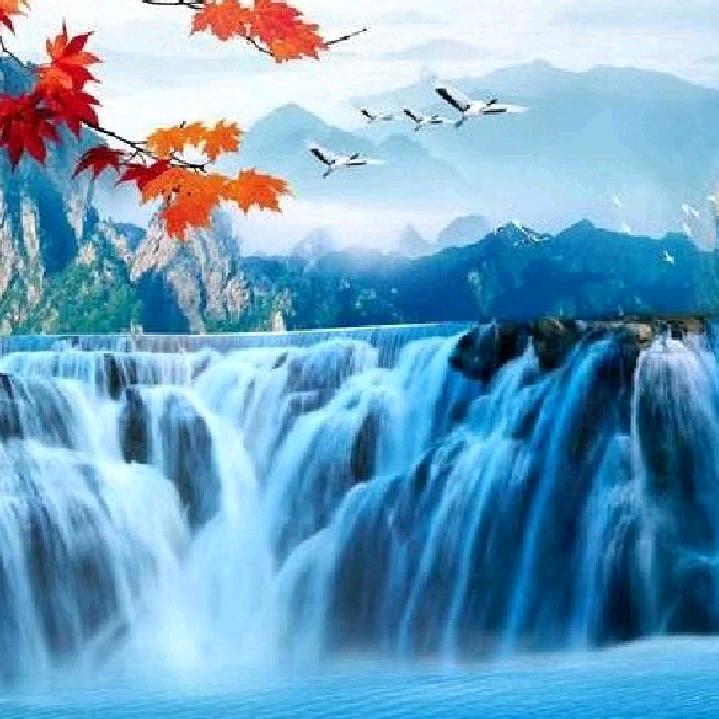 🌙紫氣東來☀️