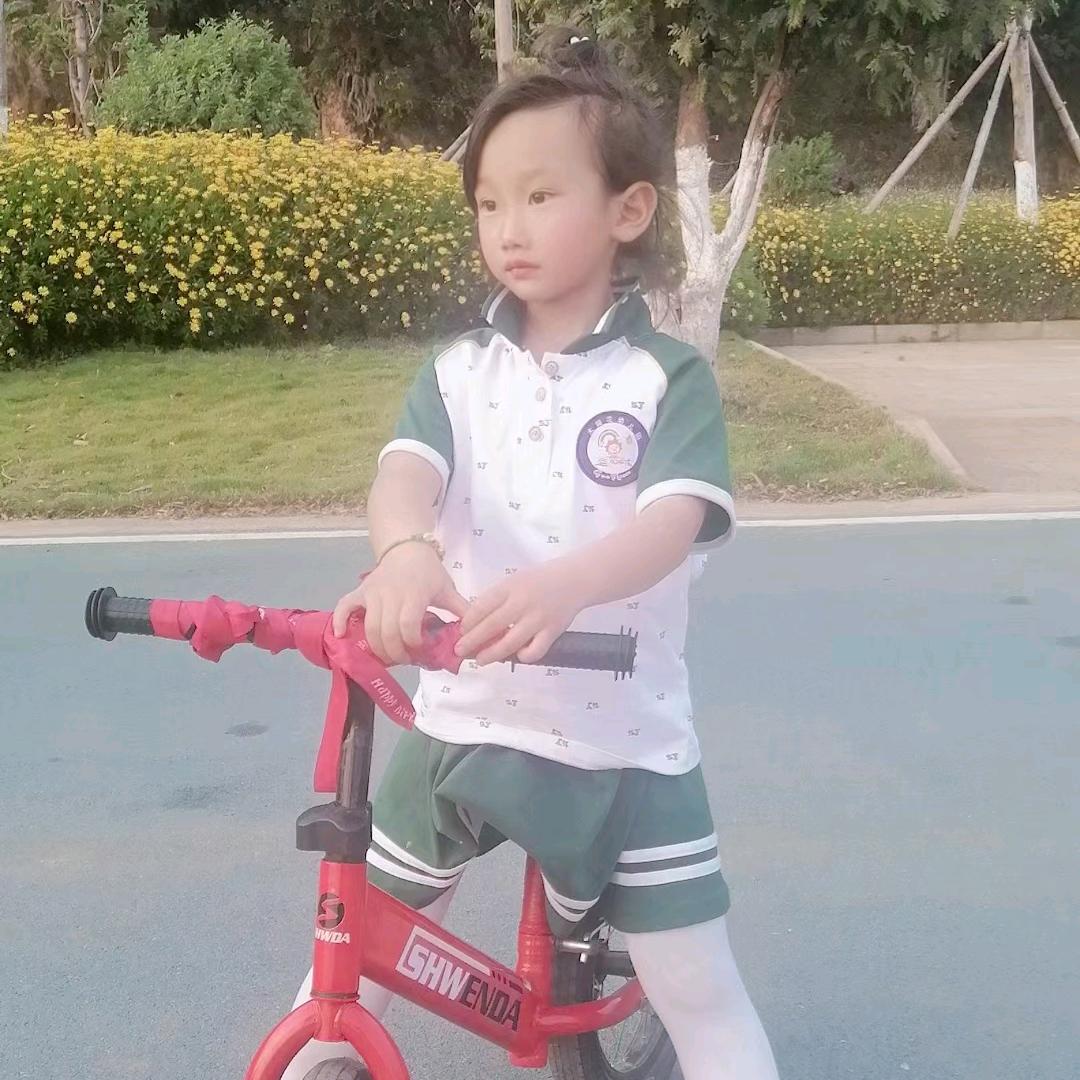 条哥