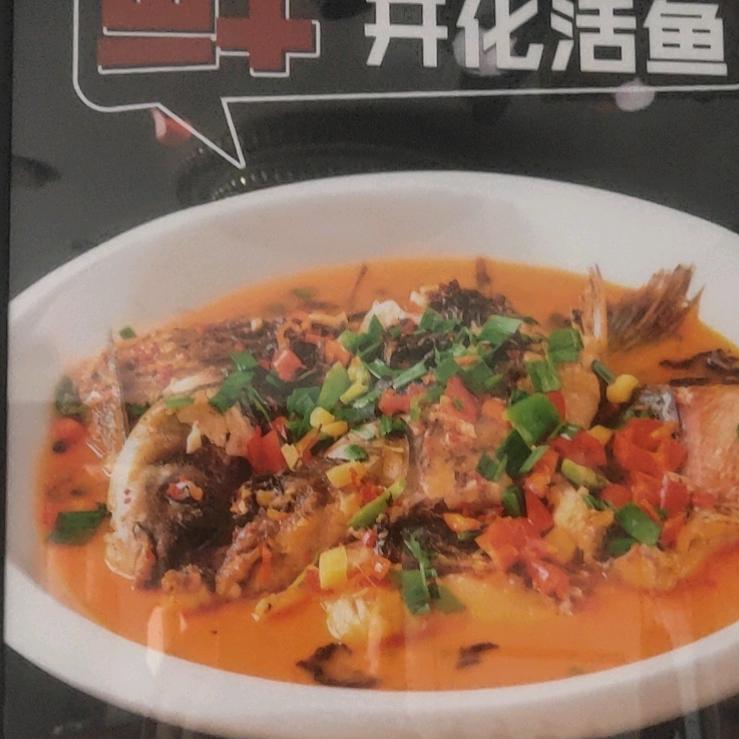 🐬豚憨憨