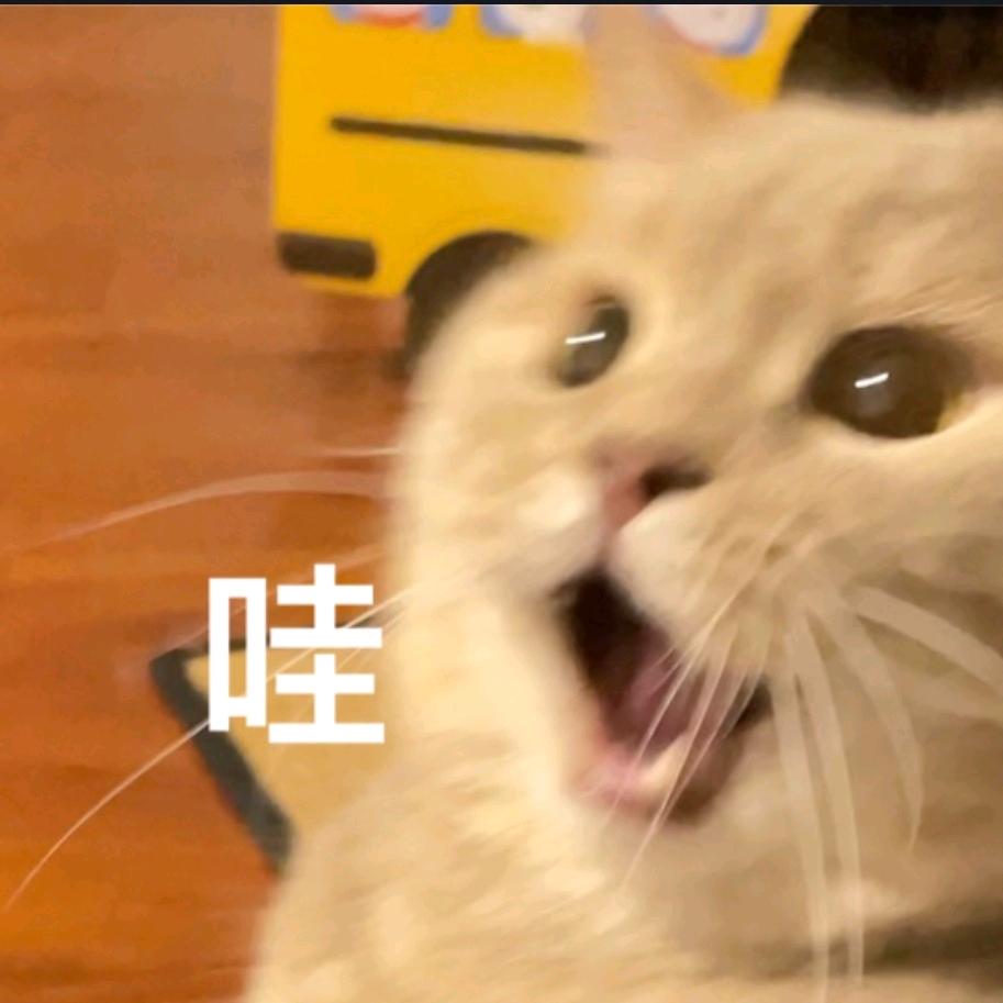 橘猫猫（沉淀版