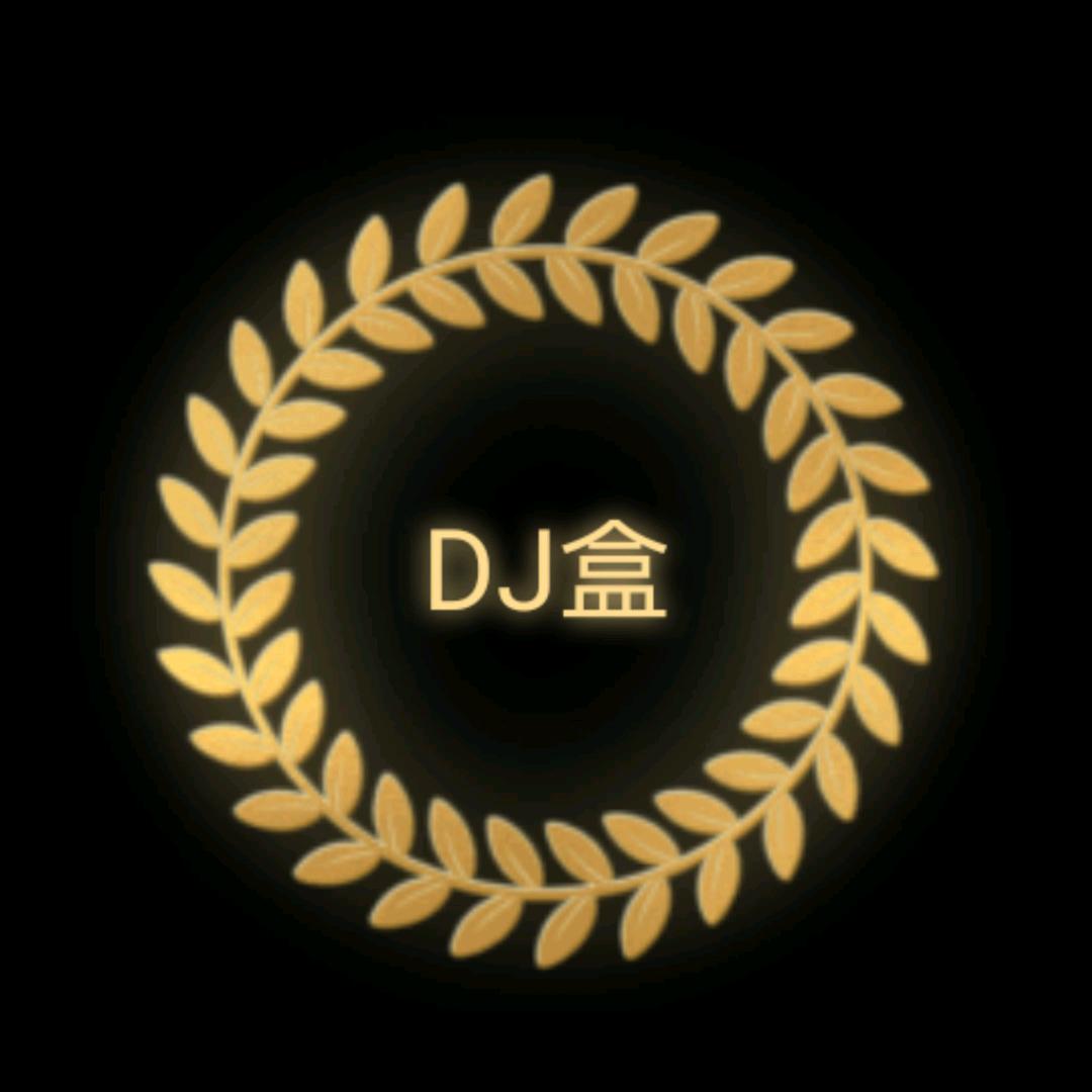 Dj盒