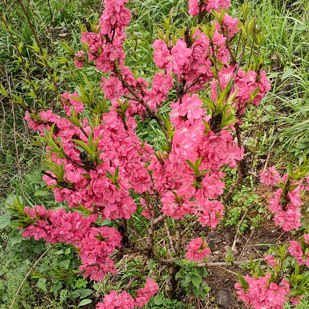 景点