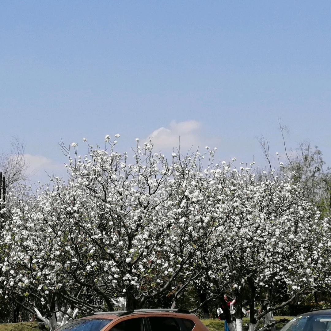 lU ^_^随缘《拒绝私聊 ～合拍》