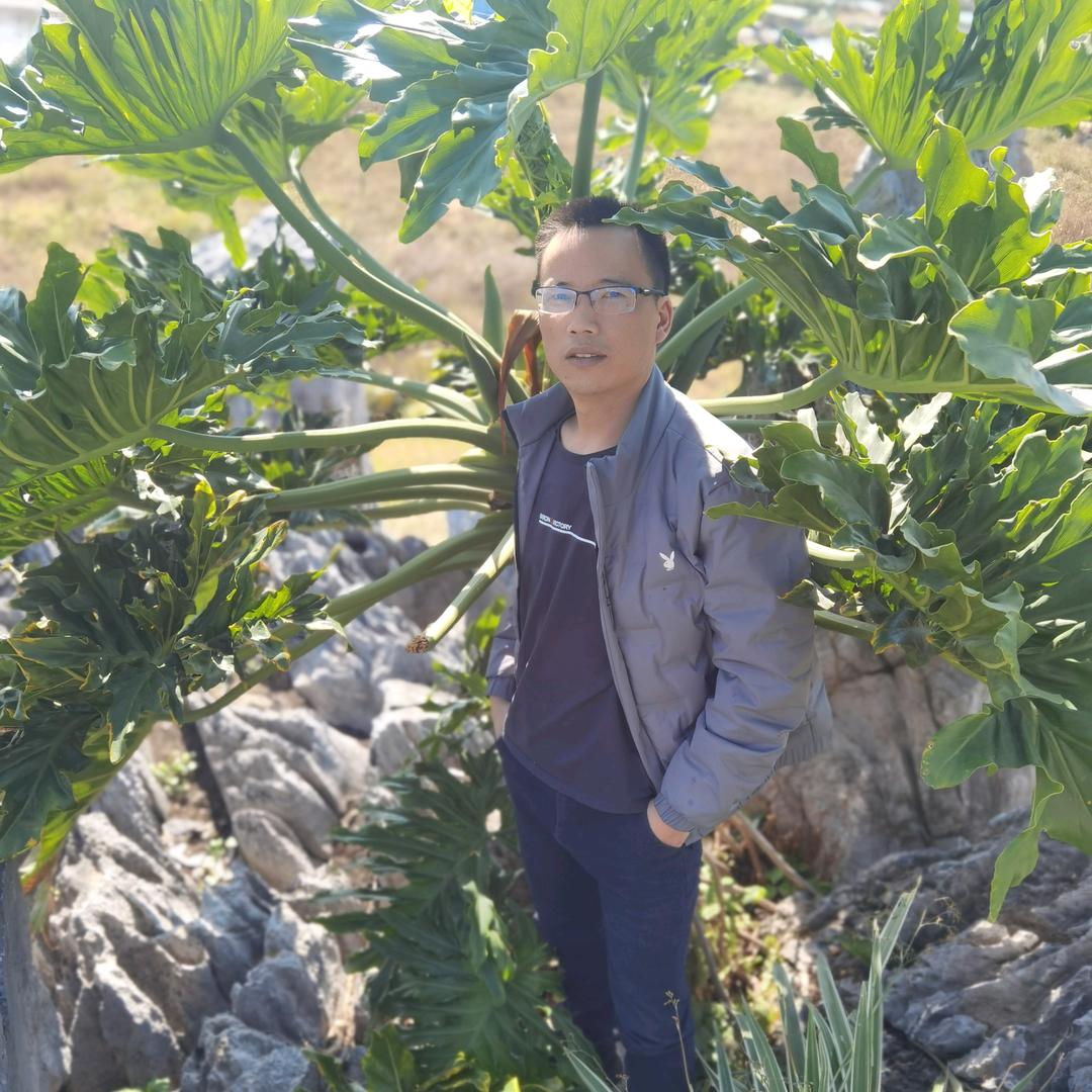 @水清墨韵...