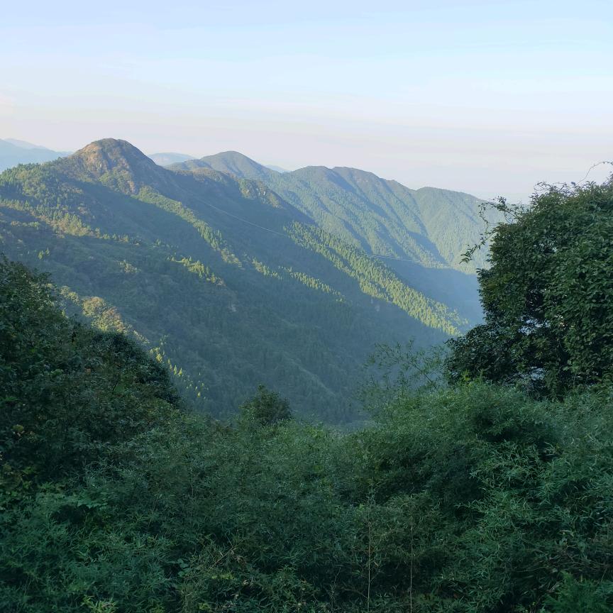 余生不走回头路