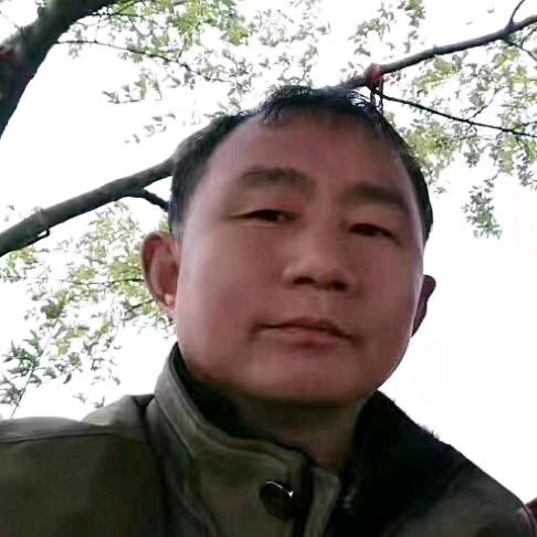 明光老陈厨电
