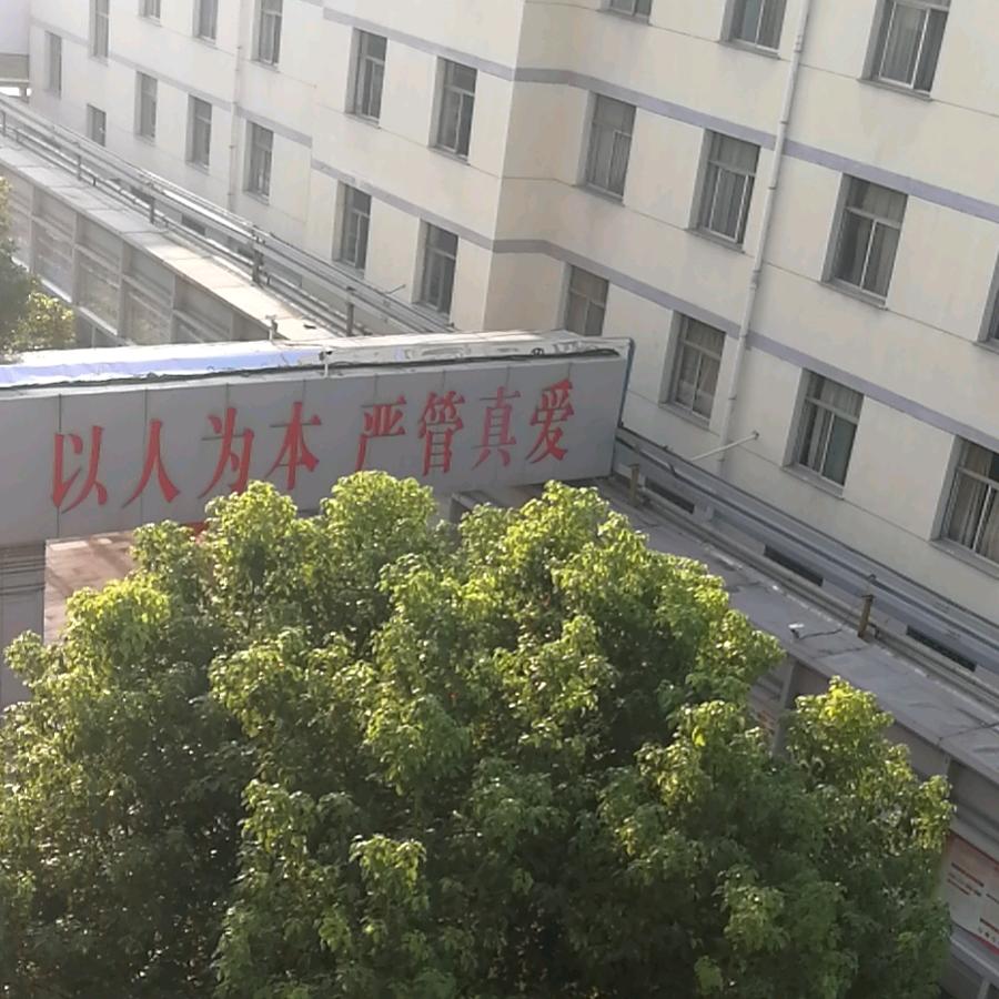 牛氏集团