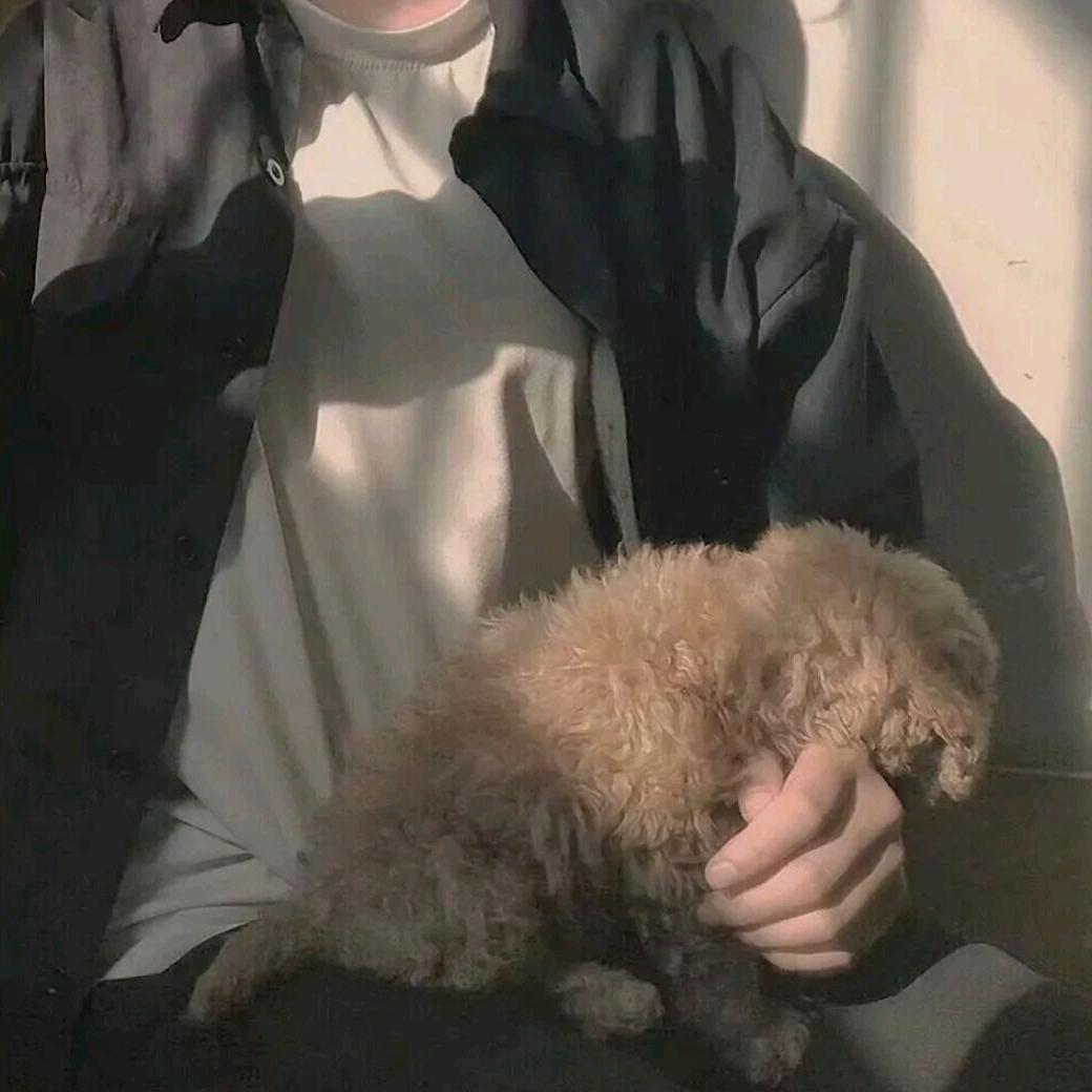 疏狂