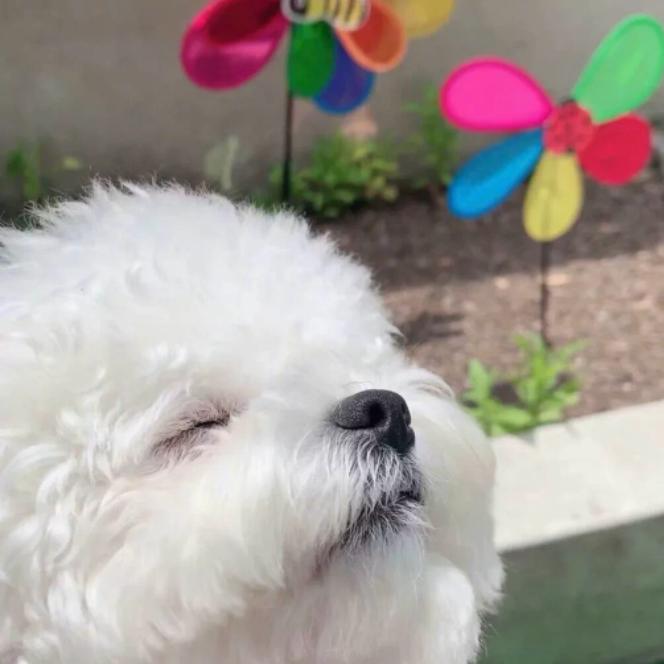 鲅鱼圈新世纪东城店静