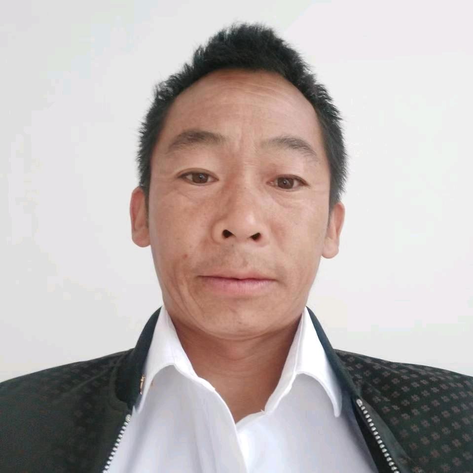 马帮驼运