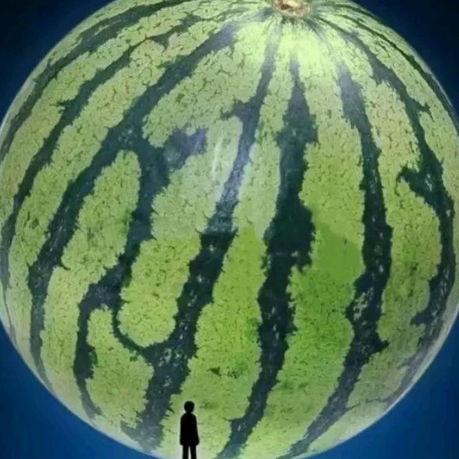 小村庄
