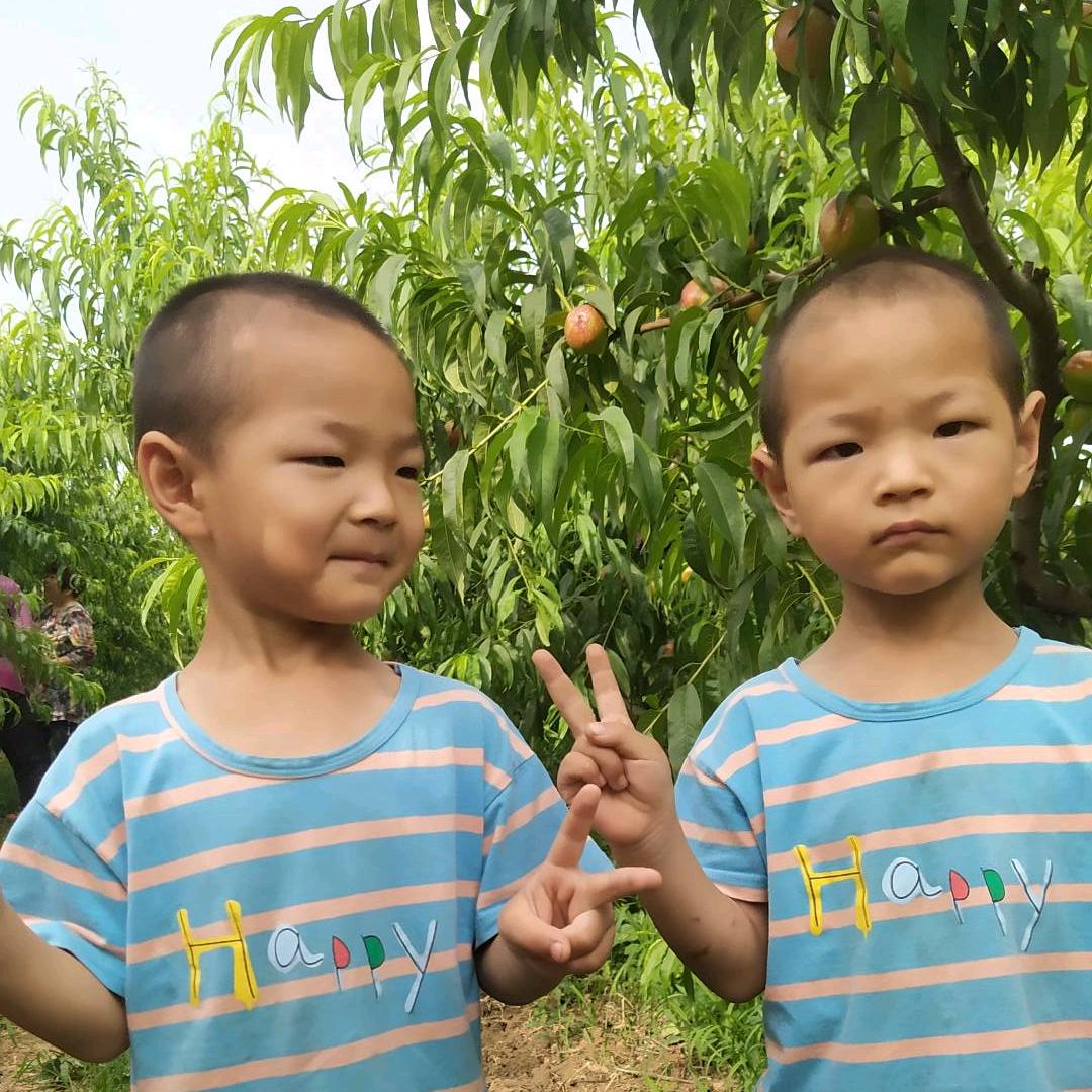 三国分“晋”公子