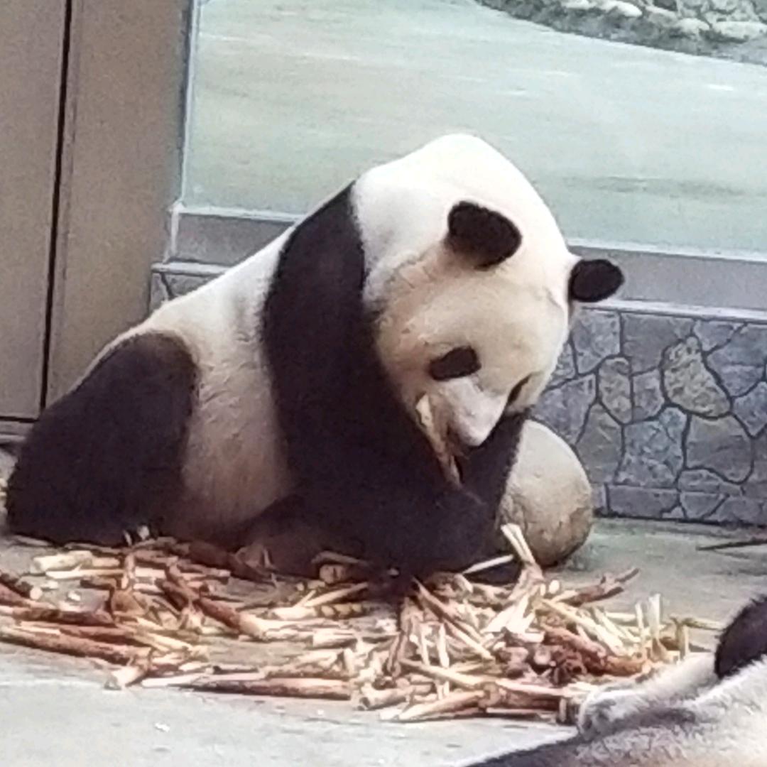 岁月静好