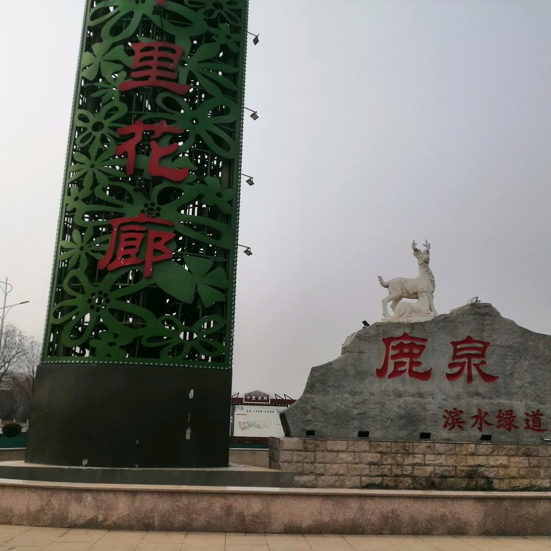 红尘过客