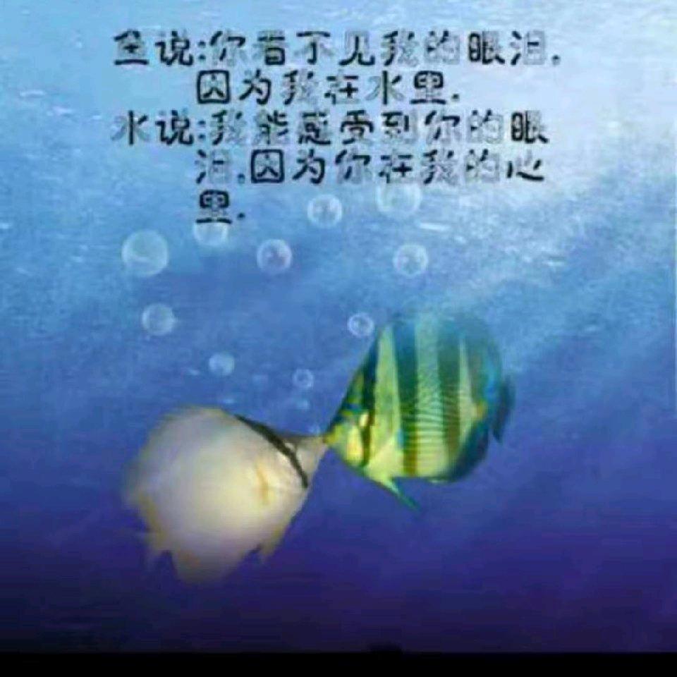 人生路