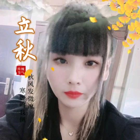 吾有萌宠蜜袋鼯