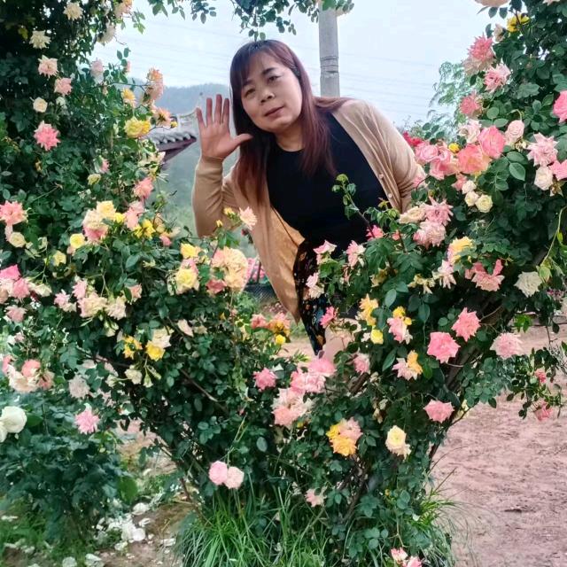 周清头像
