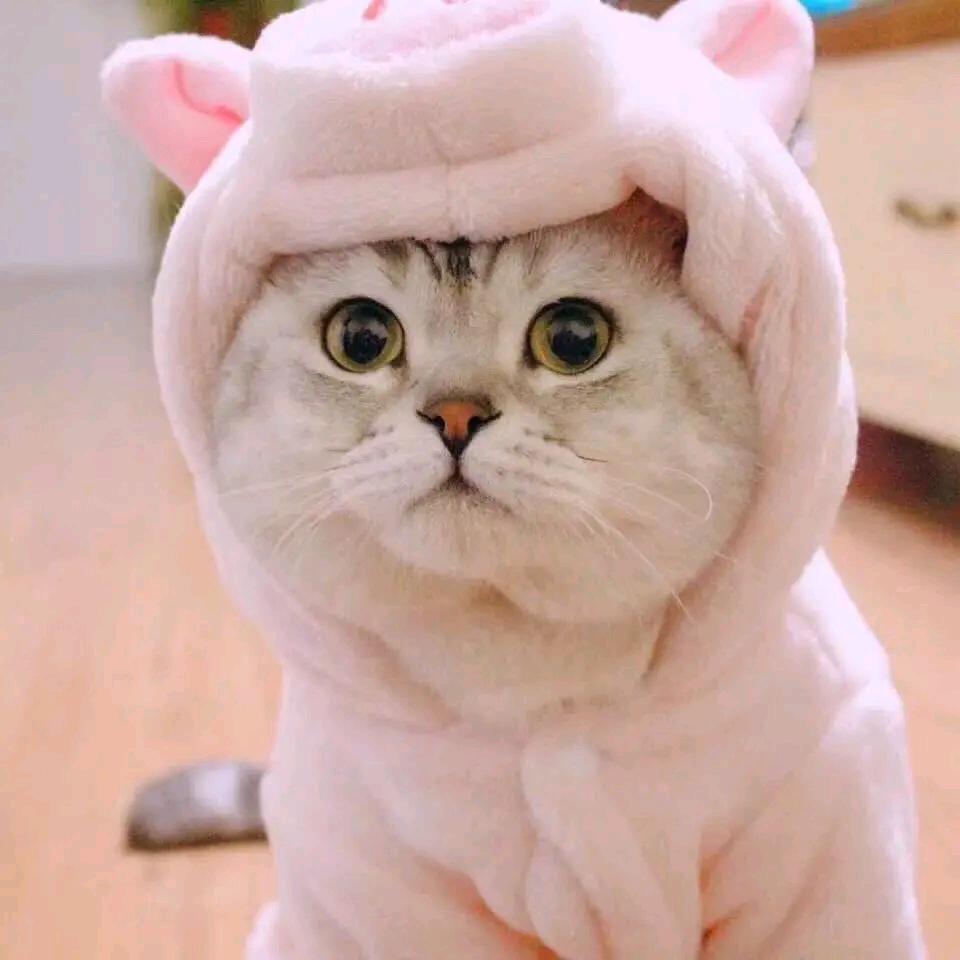 小忆丶