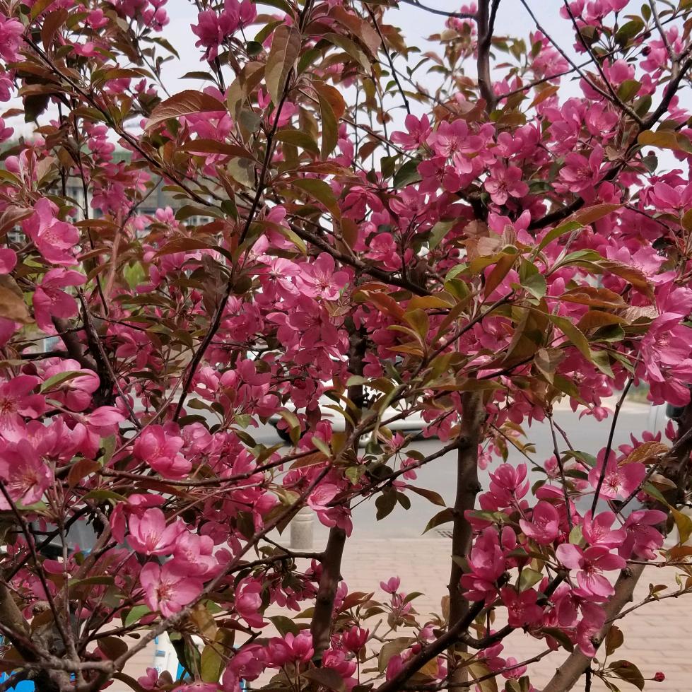团购达人玲姐