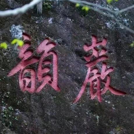 老陈家的武夷茶