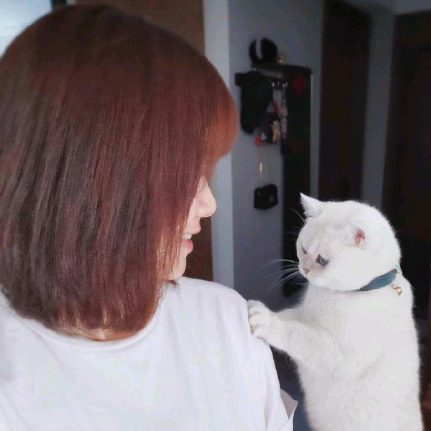 🌸花布布（77）