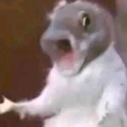 楚戒不戒酒👌